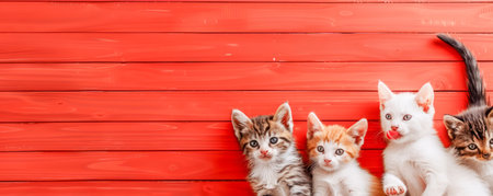 Adorable Litter of Kittens Lounging Against Vibrant Red Wooden Background, Cute Feline Siblings AI Generativeの素材