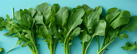 Fresh Organic Arugula Leaves on Cyan Background Healthy Green Leafy Vegetables for Salads, Cooking, and Garnishes High Quality Produce for Healthy Eating and Culinary Delights AI Generativeの素材