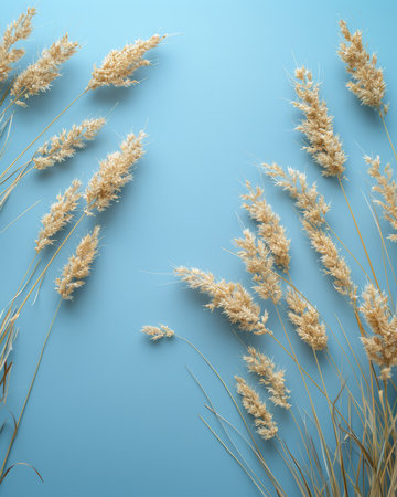 Natural Dried Wheat Stalks on Blue Background Rustic Farmhouse Decor or Nature Inspired Craft Material AI Generativeの素材
