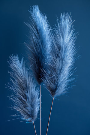 Three Fluffy Blue Pampas Grass Stems Against Dark Blue Background Creating a Calm and Tranquil Atmosphere AI Generativeの素材