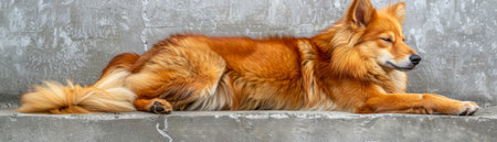 Majestic Red Dog Resting on Concrete Steps with Alert Expression Vivid Canine Portrait Showcasing Beautiful Fur and Graceful Stance AI Generativeの素材