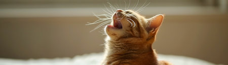 Tiny Ginger Kitten Yawns After a Cozy Nap, Capturing the Peace and Serenity of a Sleepy Afternoon in a Sunlit Room, Showcasing the Innocence and Adorable Nature of Young Cats Enjoying Their Restful Moments AI Generativeの素材