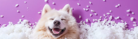 Smiling Fluffy White Dog in Pile of Soft White Fluff Against Purple Background Happy Puppy Relaxing and Enjoying Imaginative Playtime Surrounded by Softness AI Generativeの素材