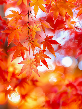 Capture the breathtaking beauty of fall foliage with this vibrant image Sun-kissed maple leaves burst with color against a backdrop of dreamy bokeh, embodying the essence of nature's seasonal metamorphosis Perfect for seasonal photography, nature inspiration, and capturing the magic of autumn's ephemeral tapestry AI Generativeの素材