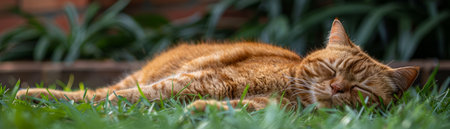 Capture the tranquility of a sunlit meadow with this serene image of a ginger cat nestled in lush grass Its vibrant red fur contrasts beautifully against the emerald greenery, creating a peaceful and calming atmosphere The cat&#39;s relaxed posture and gentle expression exude tranquility, inviting viewers to share in its moment of contented rest AI Generativeの素材