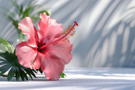 A delicate pink hibiscus blooms in the sun, its petals catching the light in a graceful dance of shadow and glow The close-up captures the intricate details of the flower, creating a serene and tranquil atmosphere perfect for relaxation, botanical studies, and nature photography enthusiasts AI Generativeの素材