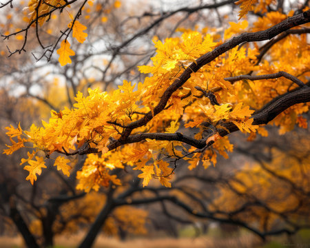 A captivating panorama showcasing the vibrant hues of autumn Vivid branches adorned with fiery reds, golden yellows, and warm oranges paint a breathtaking portrait of nature&#39;s beauty in full bloom The image captures the essence of fall&#39;s transformation, inviting viewers to immerse themselves in the splendor of the season AI Generativeの素材