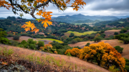 A breathtaking panorama of autumn's splendor Rolling hills carpeted in golden foliage, bathed in soft sunlight, lead the eye towards mist-shrouded mountains Vibrant hues paint the landscape, creating a picturesque scene of idyllic tranquility AI Generativeの素材