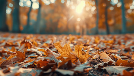 A breathtaking fall landscape unfolds, showcasing vibrant golden leaves bathed in warm sunlight The sunlit forest glows with the elegance of autumn&#39;s embrace This serene nature photography captures the captivating beauty of the season, inviting viewers to immerse themselves in its tranquility AI Generativeの素材