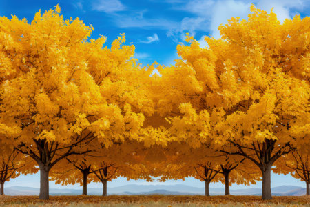 A golden canopy of autumn leaves bathes the wilderness in a warm glow Serene and breathtaking, this stunning fall foliage scene is perfect for nature photography, wallpaper, or simply enjoying the beauty of the season Golden hour light illuminates the vibrant colors, creating an enchanting ambiance AI Generativeの素材