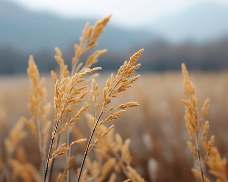 A breathtaking image of golden autumn leaves, illuminating lush grass blades in warm hues Perfect for fall-themed projects like decorations, wallpapers, and more This refined photograph captures the essence of autumn&#39;s elegant beauty, bringing a touch of nature&#39;s brilliance to any design AI Generativeの素材