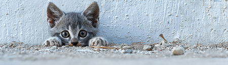 Behold the irresistible charm of an adorable kitten peeking from behind a wall Its wide-eyed curiosity and playful demeanor capture the essence of young cats in their natural habitat This heartwarming image conveys the innocence and wonder inherent in feline nature, evoking a sense of joy and tenderness in the viewer&#39;s heart AI Generativeの素材