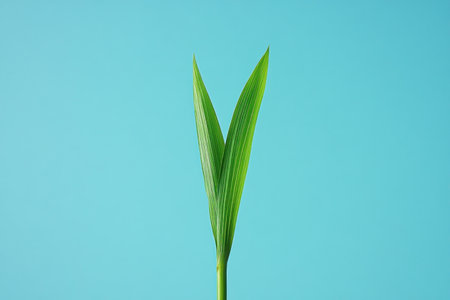 A solitary blade of grass stands tall against a vibrant blue backdrop, capturing the essence of minimalist beauty The simple, abstract composition showcases the delicate form of nature, creating a serene and elegant statement Perfect for adding a touch of natural minimalism to your space AI Generativeの素材