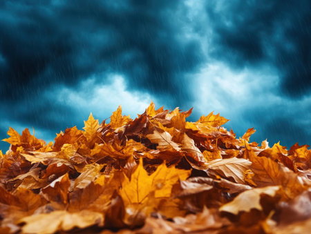 As autumn's embrace tightens, vibrant leaves pirouette in the wind, a symphony of color against a backdrop of impending rain The approaching storm adds a dramatic touch to the stunning display of fall foliage, creating a breathtaking spectacle of nature's artistry AI Generativeの素材