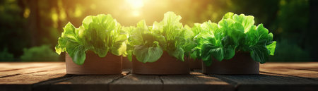 Keep your summer garden thriving with expert hydration tips and techniques This guide offers practical solutions for optimized watering, addressing soil types and individual plant needs Learn efficient irrigation methods to ensure lush growth and vibrant colors all season long Maintain healthy plants through the summer heat AI Generativeの素材