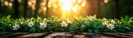 A sunset-kissed wildflower meadow, awash in golden light, features delicate white blooms and lush foliage A wooden foreground adds depth to this tranquil scene Perfect for nature-themed projects, this image captures a moment of serene beauty, showcasing nature's peaceful elegance AI Generativeの素材