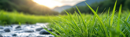 Serene wetlands offer a breathtaking display of biodiversity Witness the delicate balance of nature's habitats, a vital ecosystem demanding conservation Explore the vibrant tapestry of interconnected life, highlighting the urgent need to protect these precious resources for future generations AI Generativeの素材