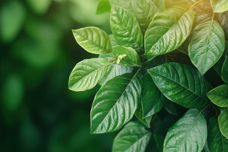 Unleash nature's resilience Like strong roots, leadership emerges amid challenges Master problem-solving by adapting like plants Discover organic solutions and strategic thinking through natural flow Grow with resilience and innovative insights Let nature guide your approach AI Generativeの素材