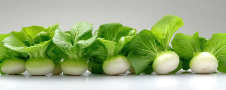 Explore the vibrant world of fresh turnip greens! This versatile leafy vegetable, showcased on a clean white background, offers endless culinary possibilities From salads to main courses, discover its nutritional benefits and delicious flavor Learn preparation tips and find inspiration for incorporating turnip greens into healthy, flavorful meals for any AI Generativeの素材