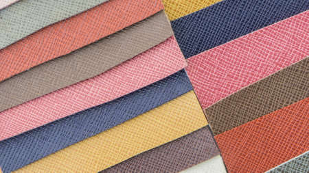Close up leather color swatch with embossed pattern