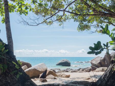 Summer beachの写真素材