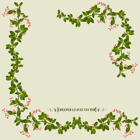 Border of creeper flower vine plant vector illustration