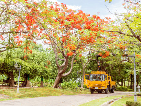 BANGKOK - MAY 22, 2015 :  Tree Surgeons car at work in public  park at Bangkok, Thailandのeditorial素材