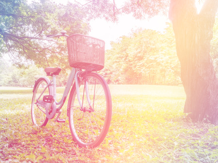 bicycle parking near tree in the park , soft focus and vintage filter effectの写真素材
