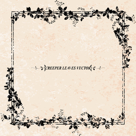 creeper flower frame with grunge background, vine plant vector illustrationのイラスト素材