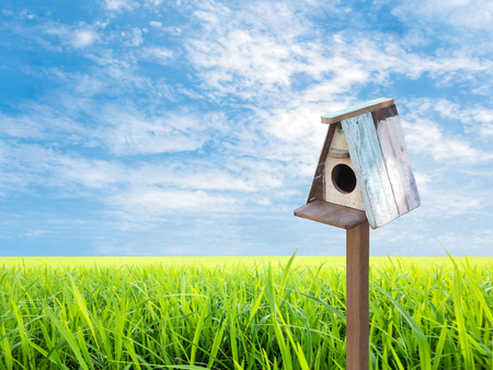Rustic Wooden Bird House over clear blue sky and rice fieldの写真素材