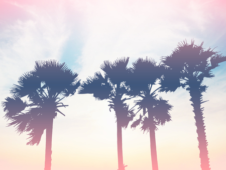 Look up silhouette palm trees over the sky, vintage filter effect, pastel color toneの写真素材