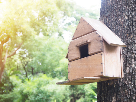 wooden bird house on the big treeの写真素材