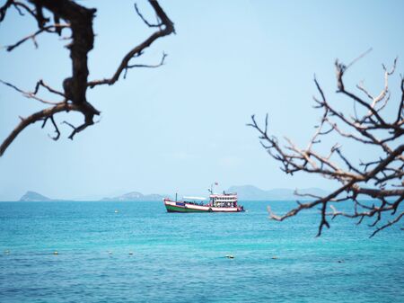 Look at passenger ships floating on the sea through dry branches on the beachの写真素材