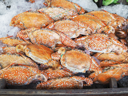 Stack of crabs cooked and freeze on ice in seafood supermarketの写真素材