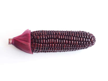 Close up boiled red corn isolated on white background