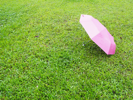 Pink umbrella on  green meadow grass after rainingの写真素材