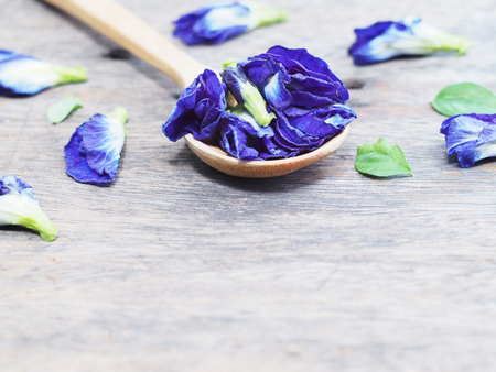 Wooden spoon with blue butterfly pea flowers on wooden table. Herb plant.の写真素材