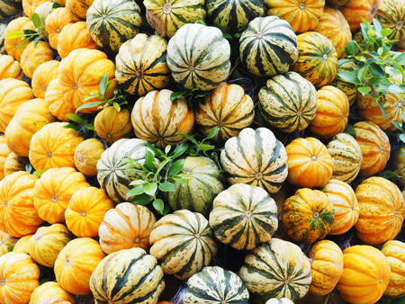 Set of small pumpkins for decoration of halloween party backgroundの写真素材