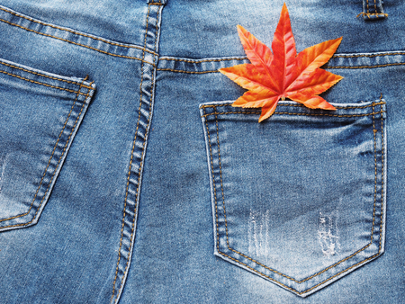 Close up maple leaf in jean pocket. Fashionable denim in autumn concept.の写真素材