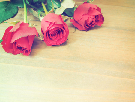 Close up red rose with green leaves on brown wood for valentine's day background. Vintage filter effect with soft style.の写真素材