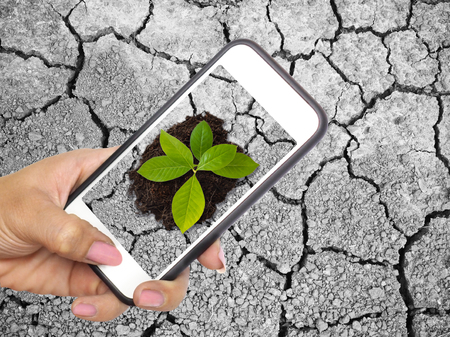 Woman hand holding mobile phone and take picture of small newborn plant with soil over dry earth with cracked textured background. Save earth by innovation technology concept.の写真素材