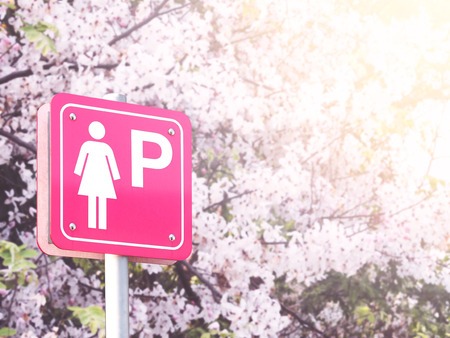 Lady parking sign over blurry background of pink blossom flowers in spring season.の写真素材