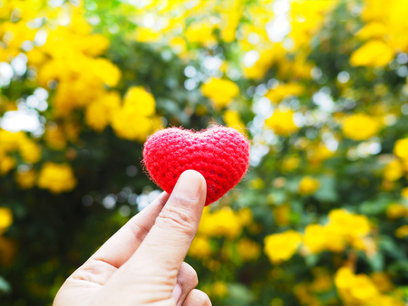 Woman selfie hand holding cushion heart shape over yellow flowers blur background. Love and valentines day concept.の写真素材
