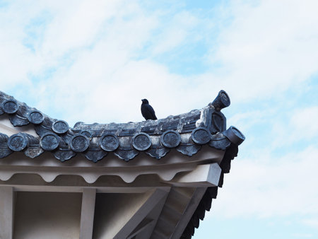 Hyogo, Japan - November 22, 2018 : Roof construction detail of Himeji Castle or White Heron Castle in Hyogo, Japan.のeditorial素材