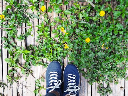Woman selfie feet on wooden footpath with green creeper plant and small yellow flowers. Save and...