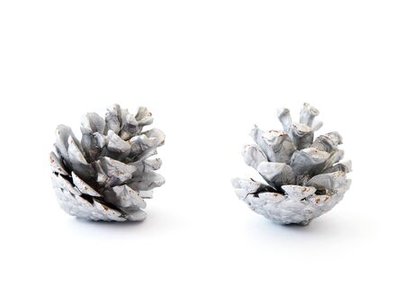 Close up dry pine cone silver color over white background. Christmas ornament.