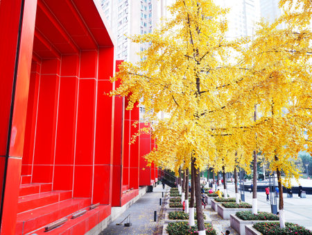 CHONGQING, CHINA - DECEMBER 07,2019 , Chongqing Guotai Arts Center, the red building Chinese art museum with yellow ginkgo trees in autumn.のeditorial素材