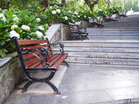 Wooden vintage chairs on staircase in the hydrangea park on Banahills french village, Danang city,...