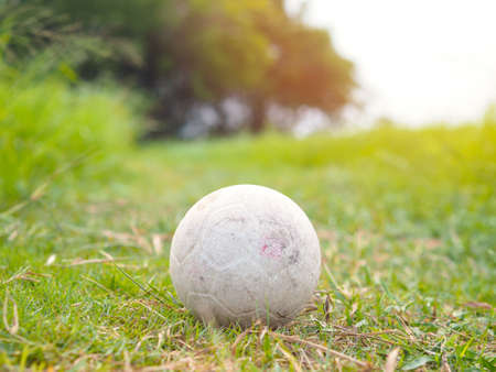 White vintage ball on green grass in the overgrown fieldの写真素材