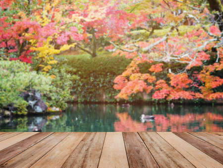 Wooden table top over Japanese autumn garden blur background. Montage picture style to display the...